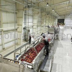 사과 잼 생산 라인 즉각적 프로젝트를 구하는 에너지를 절약하는 물