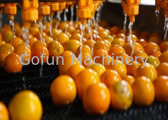 산업 밀감속 공정 라인 주황색 레몬 처리 장치 1 년 보장