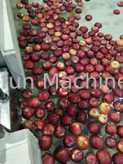 CE 산업적 자동 사과 과즙 가공기 7.5 kw SUS304