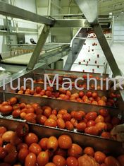 생산 라인 100T/D 고효율 에너지 절약을 처리하는 신선한 토마토 붙여넣기