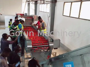 붙여넣기 제작을 위한 SUS304 산업적 자동 토마토 취급 라인