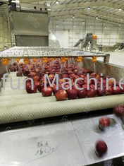 10 T/H  사과 잼 성형기 자동 과일 가공 라인 15 kw