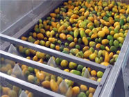 20 T/H Stainless Steel Mango Processing Line Automatic Mango Juice Making Machine