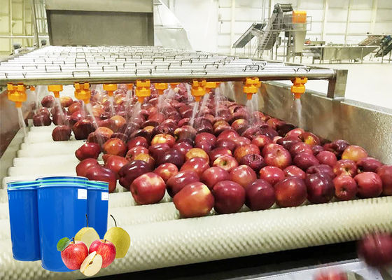 Ss 304 Apple Processing Line / Fruit Chips Making Machine High Level Sanitation