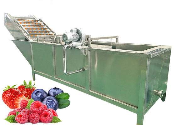 Industrial Mulberry Raspberry Berry Processing Equipment High Stability