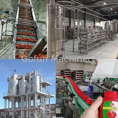 304SUS Tomato Processing Line 600T/D Tomato Paste Production Line
