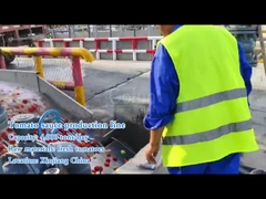 토마토 소스 를 생산 하기 위해 어떤 기계 가 필요 합니까?