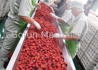 산업 뽕나무 나무 딸기 장과 공정 장치 높은 안정성