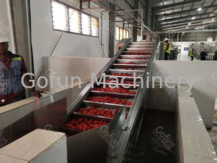 염 분수 재활용 시스템을 처리하는 50t/h 자동 토마토 페이스트